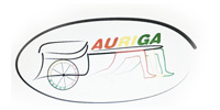 AURIGA